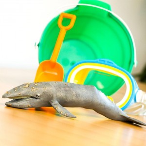 Сірий кит Safari Ltd 210402 Сірий кит Safari Ltd 210402