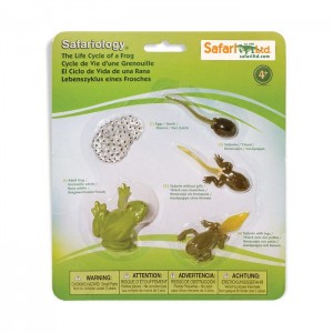 Життєвий цикл жаби Safari Ltd 269129 Життєвий цикл жаби Safari Ltd 269129