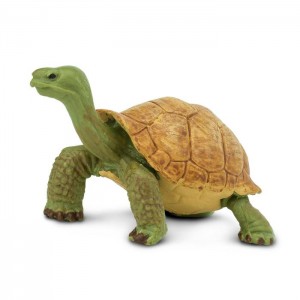 Гігантська черепаха Safari Ltd 272529 Гігантська черепаха Safari Ltd 272529