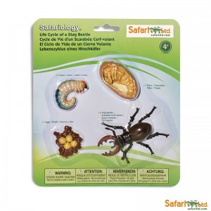 Життєвий цикл жука-оленя (рогач) Safari Ltd 661416 Життєвий цикл жука-оленя (рогач) Safari Ltd 661416