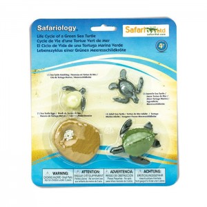 Життєвий цикл черепахи Safari Ltd 662316 Життєвий цикл черепахи Safari Ltd 662316