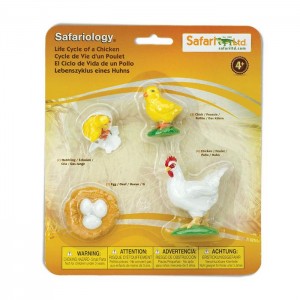 Життєвий цикл курки Safari Ltd 662816 Життєвий цикл курки Safari Ltd 662816
