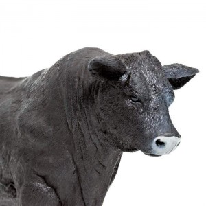 Ангуський бик Safari Ltd 160729 Ангуський бик Safari Ltd 160729