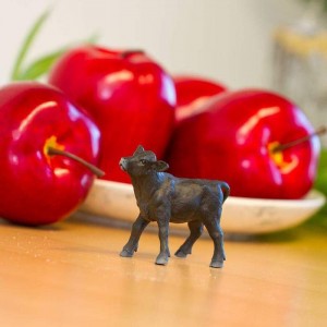Теля ангуської породи Safari Ltd 160929 Теля ангуської породи Safari Ltd 160929