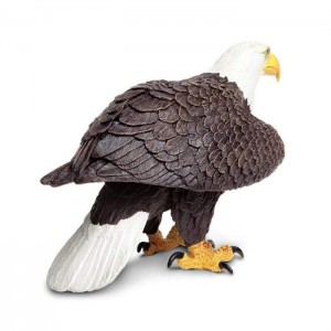 Білоголовий орлан XL Safari Ltd 251029 Білоголовий орлан XL Safari Ltd 251029