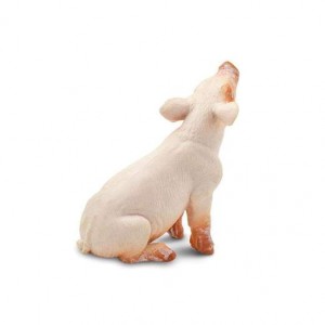 Порося Safari Ltd 245829 Порося Safari Ltd 245829