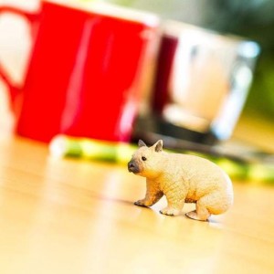 Вомбат Safari Ltd 226229