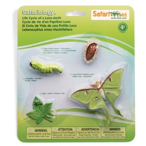 Життєвий цикл молі Safari Ltd 663516 Життєвий цикл молі Safari Ltd 663516