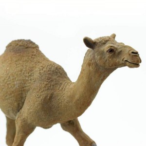 Одногорбий верблюд (дромедар) Safari Ltd 222429 Одногорбий верблюд (дромедар) Safari Ltd 222429