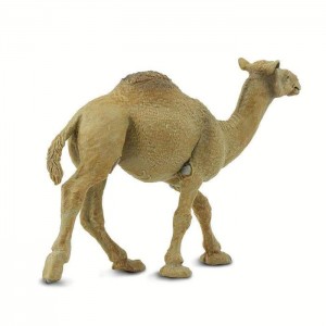 Одногорбий верблюд (дромедар) Safari Ltd 222429 Одногорбий верблюд (дромедар) Safari Ltd 222429