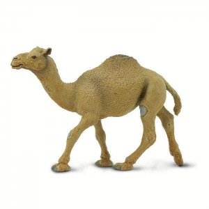 Одногорбий верблюд (дромедар) Safari Ltd 222429 Одногорбий верблюд (дромедар) Safari Ltd 222429