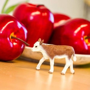 Теля герефордської породи Safari Ltd 160129 Теля герефордської породи Safari Ltd 160129