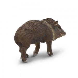 Пекарі Safari Ltd 180629 Пекарі Safari Ltd 180629