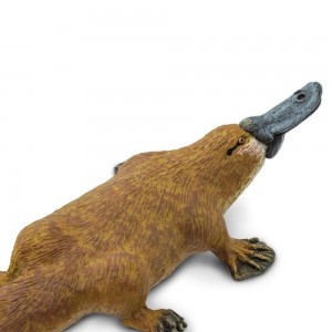 Качкодзьоб Safari Ltd 283529 Качкодзьоб Safari Ltd 283529