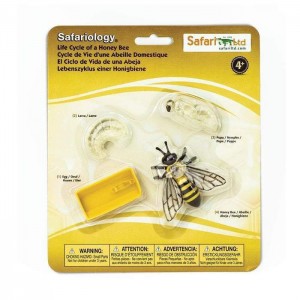 Життєвий цикл бджоли Safari Ltd 622716 Життєвий цикл бджоли Safari Ltd 622716