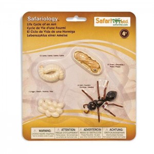 Життєвий цикл мурахи Safari Ltd 663916 Життєвий цикл мурахи Safari Ltd 663916