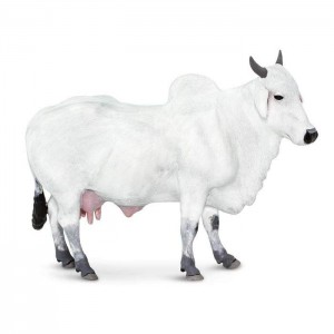 Корова Онголе Safari Ltd 100150 Корова Онголе Safari Ltd 100150