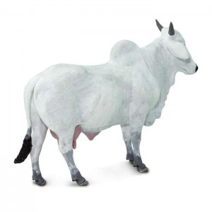 Корова Онголе Safari Ltd 100150 Корова Онголе Safari Ltd 100150