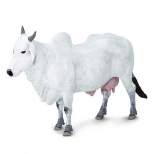 Корова Онголе Safari Ltd 100150 Корова Онголе Safari Ltd 100150