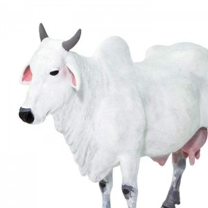 Корова Онголе Safari Ltd 100150 Корова Онголе Safari Ltd 100150