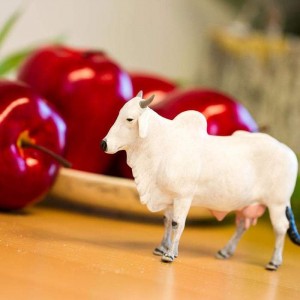 Корова Онголе Safari Ltd 100150 Корова Онголе Safari Ltd 100150