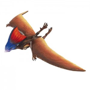 Тапежара Safari Ltd 284229