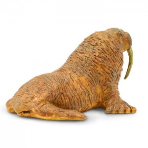 Морж Safari Ltd 248729