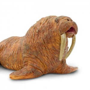 Морж Safari Ltd 248729