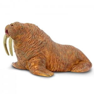 Морж Safari Ltd 248729
