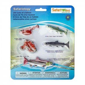 Життєвий цикл лосося Safari Ltd 100267 Життєвий цикл лосося Safari Ltd 100267