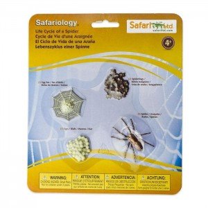 Життєвий цикл павука Safari Ltd 100406 Життєвий цикл павука Safari Ltd 100406