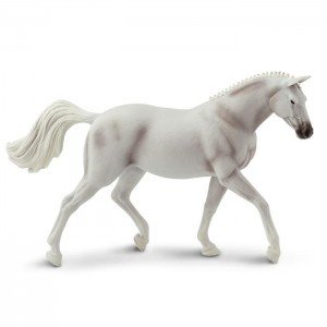 Тракененська кобила Safari 152505