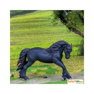 Фризський жеребець Safari 158805