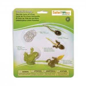 Життєвий цикл жаби Safari Ltd 269129 Життєвий цикл жаби Safari Ltd 269129