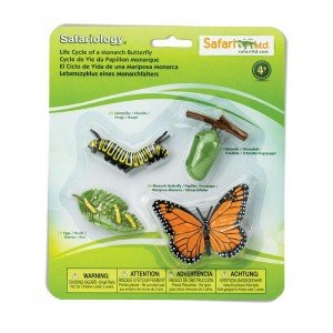 Життєвий цикл метелика Safari Ltd 622616 Життєвий цикл метелика Safari Ltd 622616