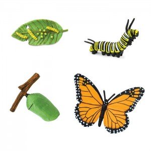 Життєвий цикл метелика Safari Ltd 622616 Життєвий цикл метелика Safari Ltd 622616