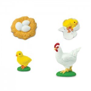 Життєвий цикл курки Safari Ltd 662816 Життєвий цикл курки Safari Ltd 662816