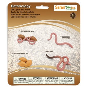 Життєвий цикл черв'яка Safari Ltd 664016 Життєвий цикл черв'яка Safari Ltd 664016