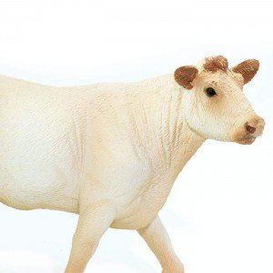 Шаролезська корова Safari Ltd 231229