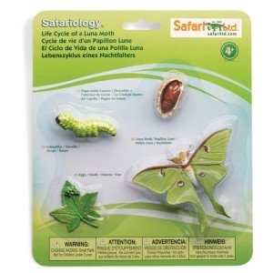 Життєвий цикл молі Safari Ltd 663516 Життєвий цикл молі Safari Ltd 663516