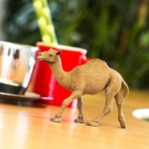 Одногорбий верблюд (дромедар) Safari Ltd 222429