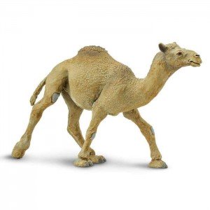 Одногорбий верблюд (дромедар) Safari Ltd 222429