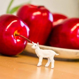 Козеня Safari Ltd 161229 Козеня Safari Ltd 161229