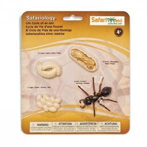 Життєвий цикл мурахи Safari Ltd 663916 Життєвий цикл мурахи Safari Ltd 663916