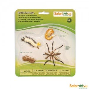 Життєвий цикл комара Safari Ltd 662616 Життєвий цикл комара Safari Ltd 662616