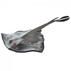 Хвостокол скат XL Safari Ltd 100507 Хвостокол скат XL Safari Ltd 100507